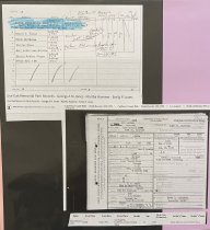 Anna H. Jones Death Certificate & Burial Records for George and Emily Prisc